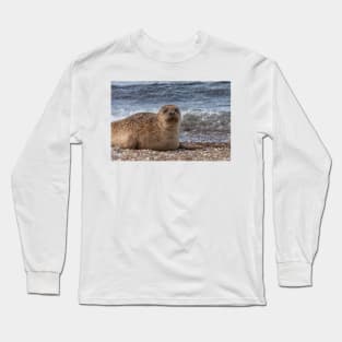 A common seal at Portgordon Scotland - 2 Long Sleeve T-Shirt